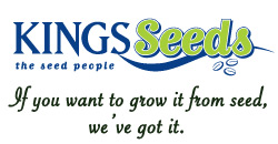 Kings Seeds